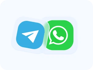 WhatsApp Business and Telegram Bot