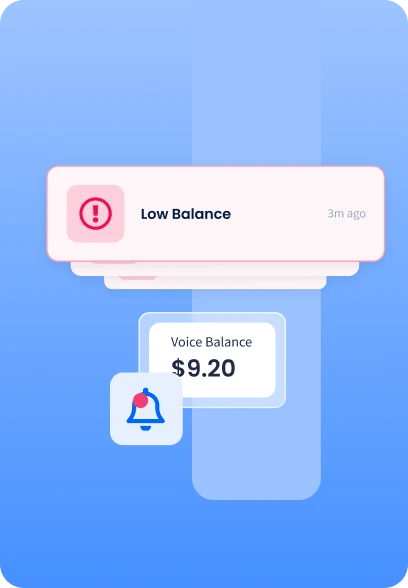 Low Balance Notifications