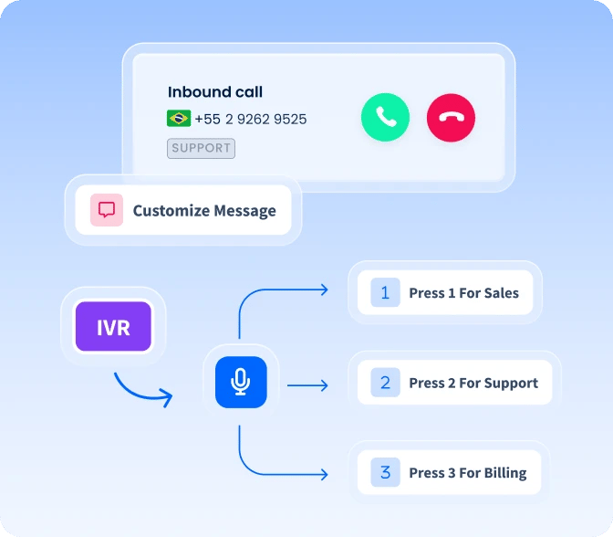 Interactive Features